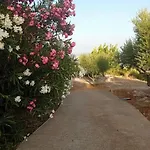 شقة Sofia's Summer House