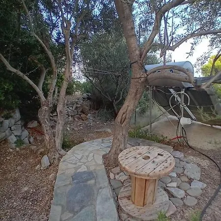 Daire Sofia's Summer House *