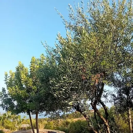 Sofia's Summer House * Koroni (Messinia)