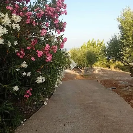 Διαμέρισμα Sofia's Summer House