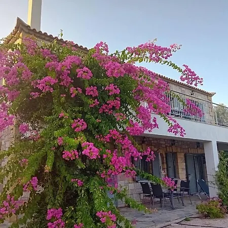 Διαμέρισμα Sofia's Summer House *
