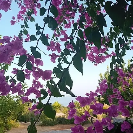 Sofia's Summer House Διαμέρισμα Koróni