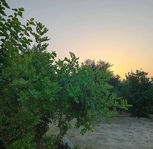 Sofia's Summer House * Корони