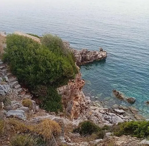 Апартаменты Sofia's Summer House *