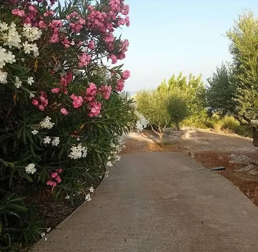 Апартаменты Sofia's Summer House