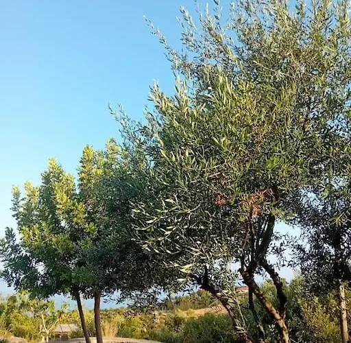 Sofia's Summer House * Koróni