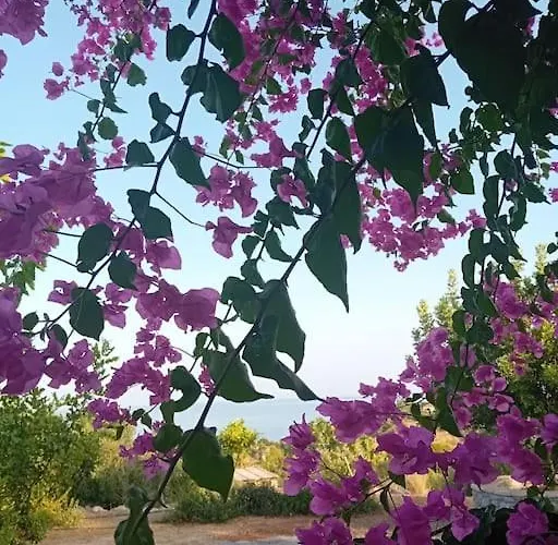 Sofia's Summer House Apartamento Koróni